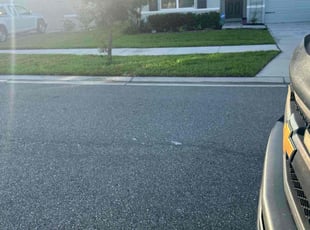 Barbara C.'s Bush Trimming service result