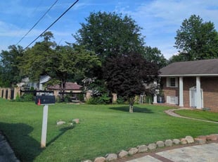 Andrew J.'s turf maintenance service result
