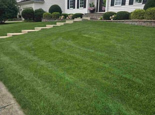 Doris H.'s lawn service service result