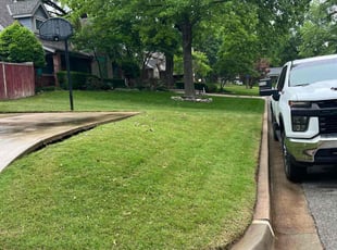 Lloyd O.'s turf maintenance service result