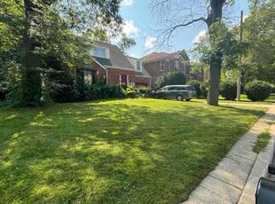 Joann C.'s turf maintenance service result