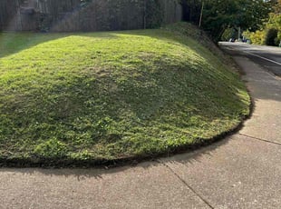 Diane B.'s grass maintenance service result