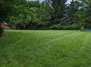 Ward N.'s lawn care services service result