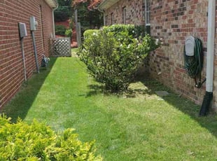Ethel C.'s lawn maintenance service result