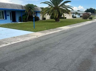 Genrikh K.'s lawn service service result