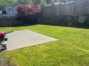 Jasmine T.'s turf care service result