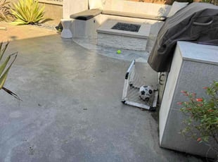 Jeroid B.'s Leaf Removal service result