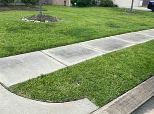 Minnie T.'s turf maintenance service result