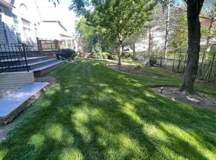 Harry H.'s turf maintenance service result