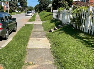 Nick E.'s grass maintenance service result