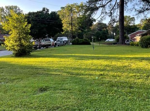 Armand P.'s lawn care service result