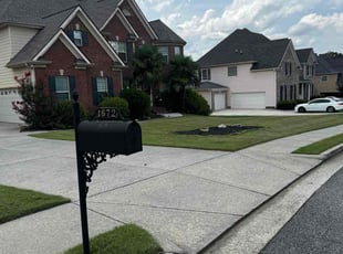 Sarah B.'s turf care service result