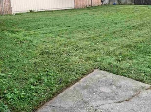 Maritza V.'s turf maintenance service result