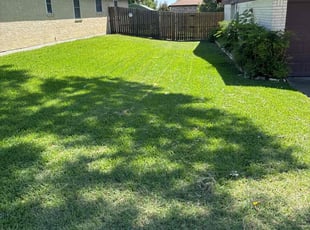 Abraham J.'s grass cutting service result