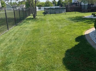 Helen P.'s lawn service service result