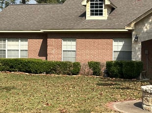 Tols D.'s Bush Trimming service result