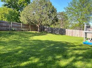 Nichold P.'s grass maintenance service result