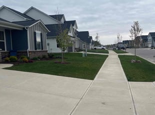 Joshua W.'s grass cutting service result