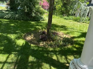 Scott W.'s lawn maintenance service result