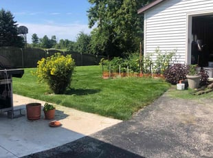 Shaun Q.'s grass cutting service result