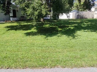 John M.'s turf maintenance service result