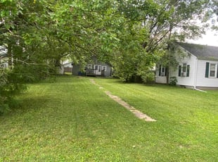 Antonia L.'s grass cutting service result
