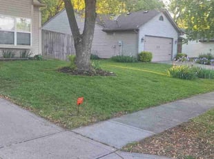 Linda K.'s lawn care service result