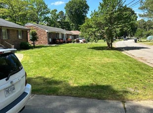 Lynne S.'s lawn service service result