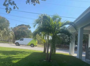 Sean B.'s lawn maintenance service result