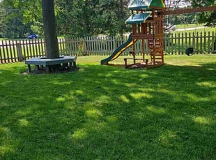 Michael S.'s lawn maintenance service result