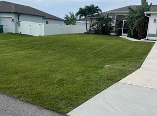 Danielle S.'s turf maintenance service result