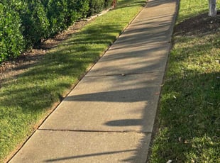 Sharon J.'s turf care service result