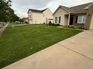 Sharon P.'s grass cutting service result