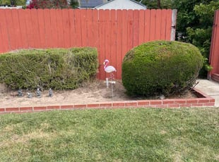 Joseph R.'s Bush Trimming service result