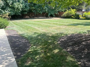 Patrick B.'s grass maintenance service result