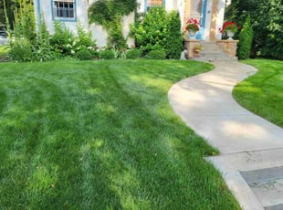 Susan A.'s grass cutting service result