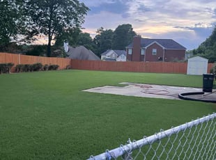 Linda S.'s turf care service result
