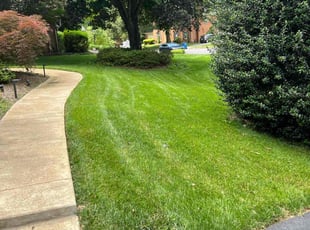Emalie C.'s lawn care service result