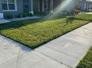 Laura F.'s lawn care services service result