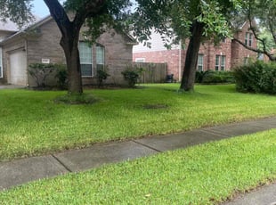 Brenda M.'s lawn care service result