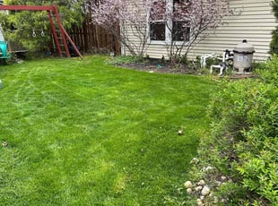 Joseph S.'s lawn maintenance service result