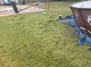 Islande S.'s grass cutting service result