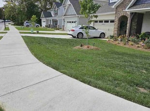 William M.'s yard care service result