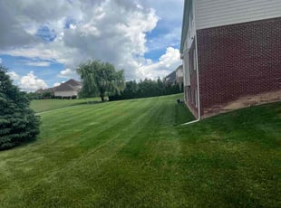 Liz B.'s turf maintenance service result