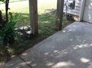 Harry H.'s grass maintenance service result