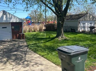 Sheri F.'s turf care service result