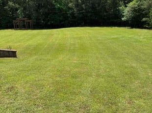 Andrew G.'s lawn care services service result