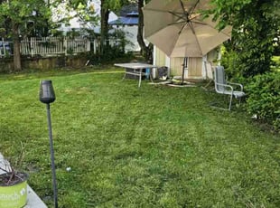 Jojo A.'s turf maintenance service result