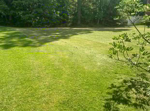 Russell B.'s lawn service service result