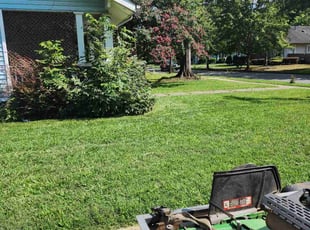 Cirricka W.'s turf care service result
